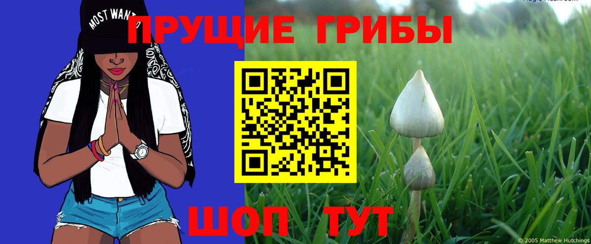 Галлюциногенные грибы ЛСД Артём